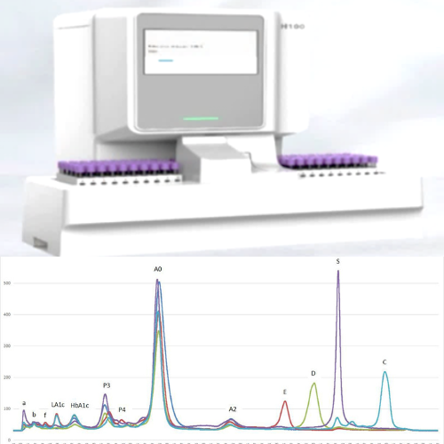 Image of H100